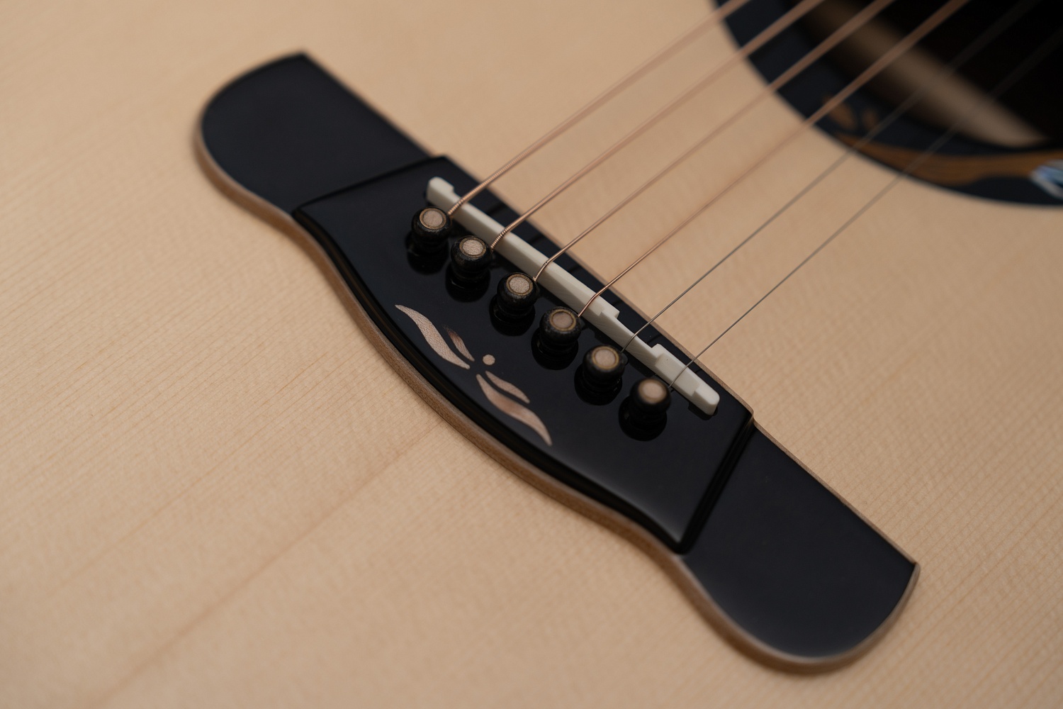 Meridaextrema Winter