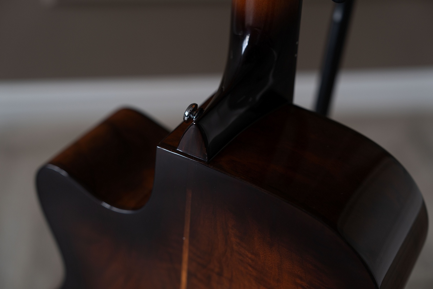 Meridaextrema DG-20BWCS