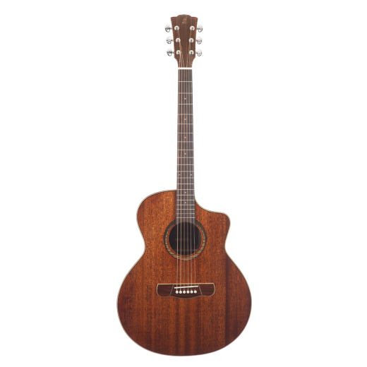 Meridaextrema C15CS (1)