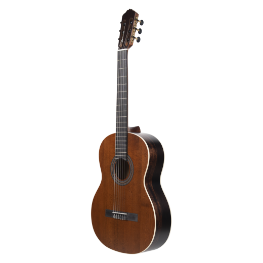 Meridaextrema PC43VT(2)